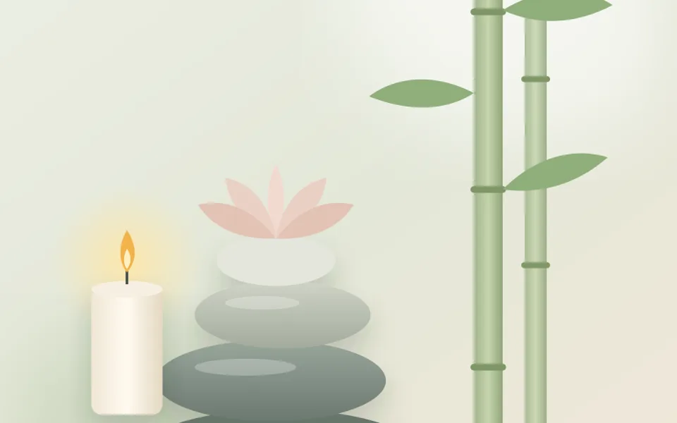 Spa & Wellness industry illustration from the Accurate Scheduler application